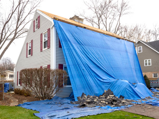 Best Wood Siding Installation  in Cleveland, AL